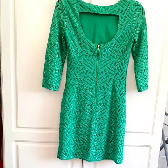 Lilly Pulitzer Fern Green Camellia Dress - Picture 4 of 6